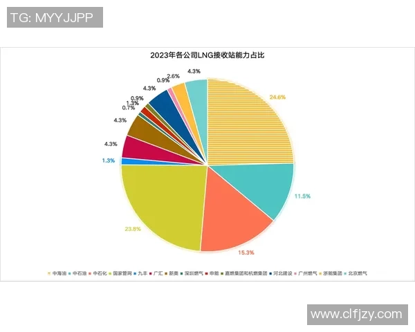 深度分析LNG市场的整体压制策略与未来发展趋势